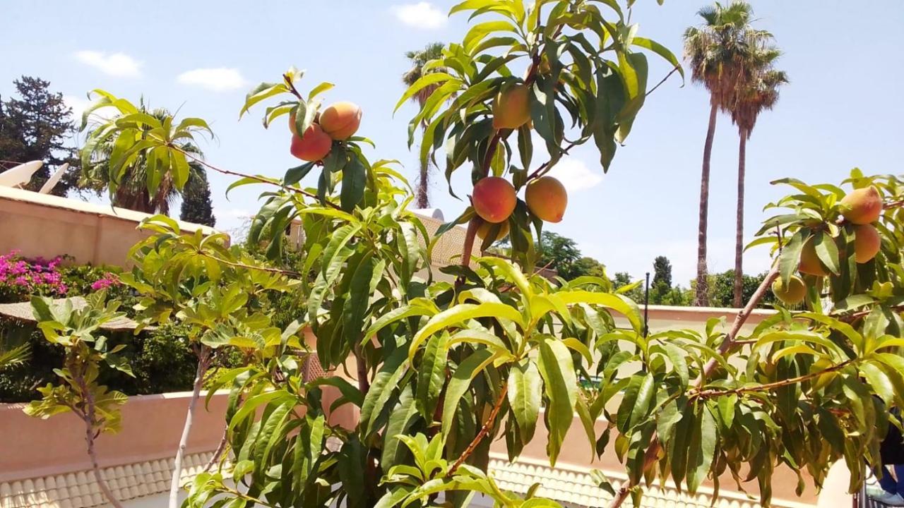 Riad Zouhour Marrakesh Esterno foto