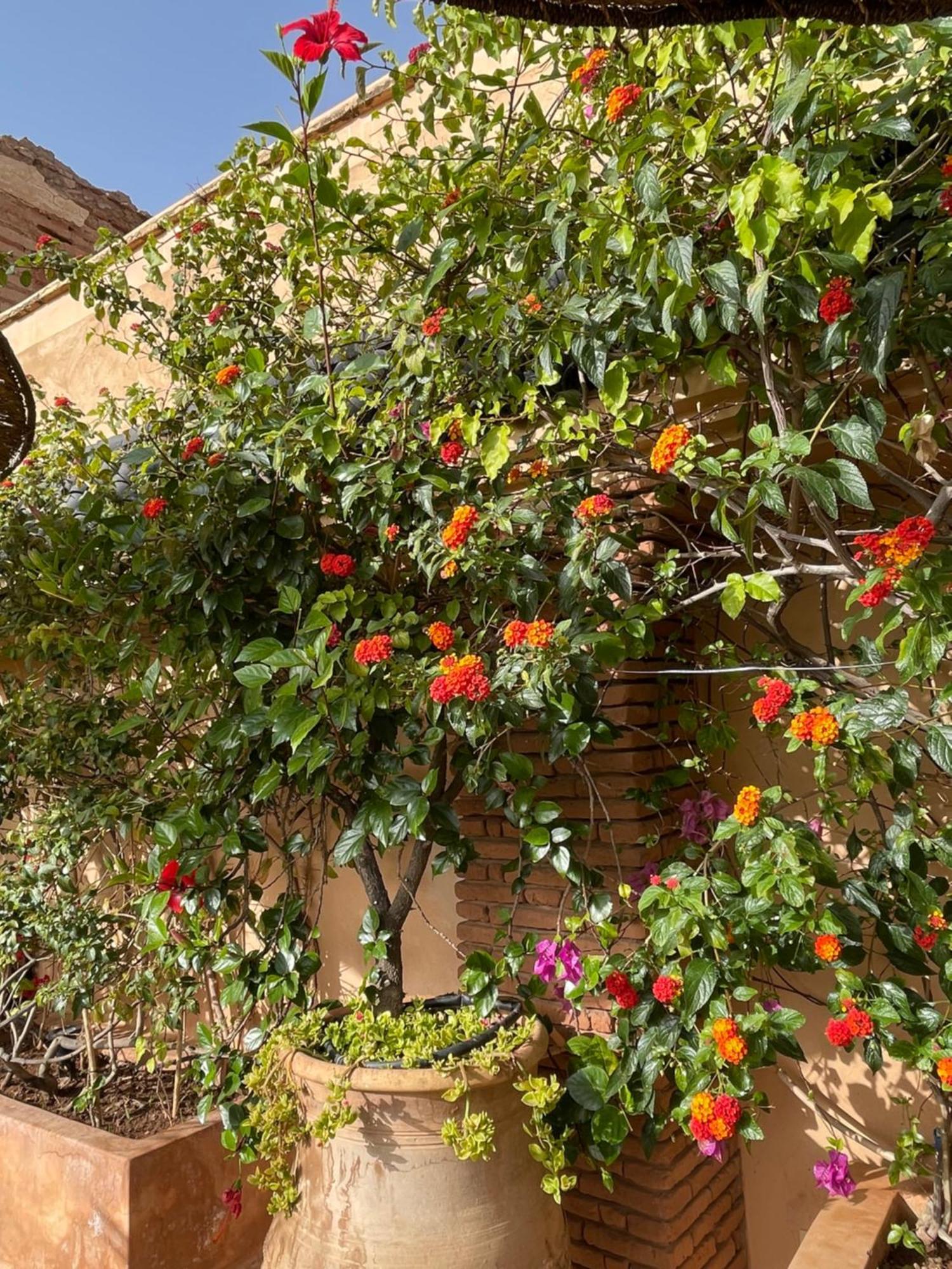 Riad Zouhour Marrakesh Esterno foto